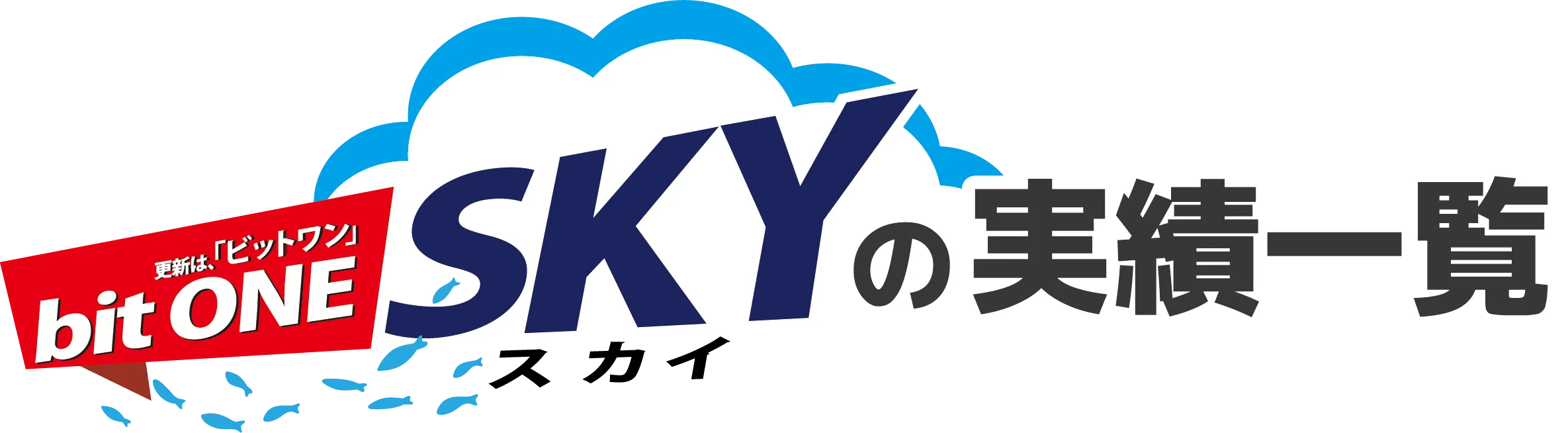 bitONE SKY(ビットワン・スカイ)の実績一覧